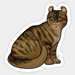 Cat - American Curl - Shorthair Dark Brown Tabby Sticker